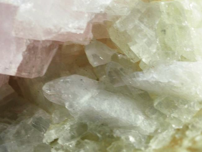 �s���N�g���}�������� �u���W���Y 99g (68)