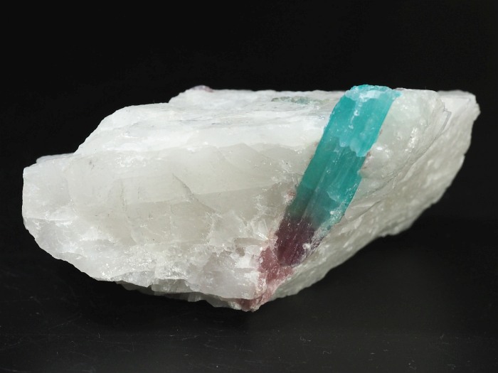 �p���C�o�g���}�������� �u���W���Y 155g (82)