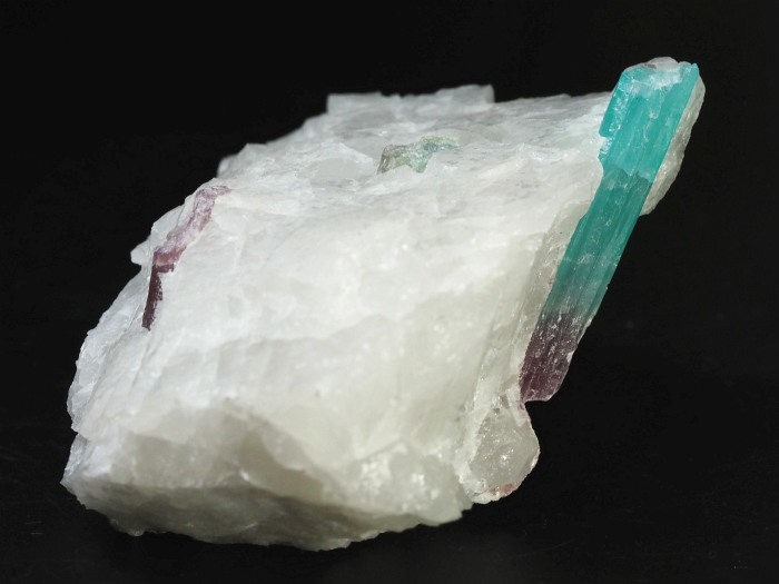 �p���C�o�g���}�������� �u���W���Y 155g (82)