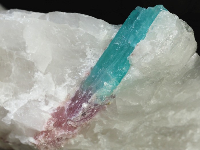 �p���C�o�g���}�������� �u���W���Y 155g (82)