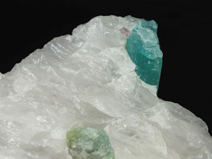 �p���C�o�g���}�������� �u���W���Y 155g (82)