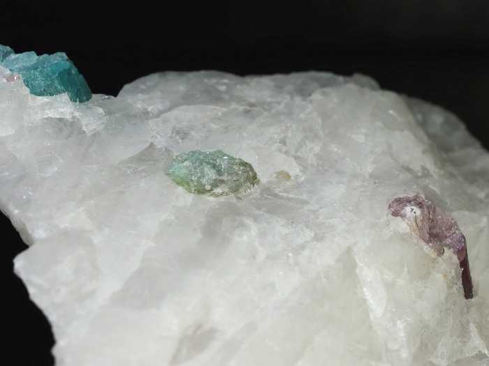 �p���C�o�g���}�������� �u���W���Y 155g (82)