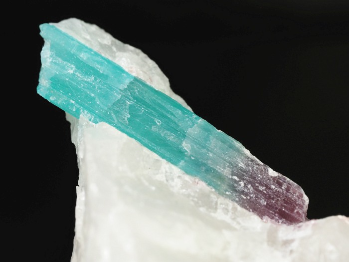 �p���C�o�g���}�������� �u���W���Y 155g (82)