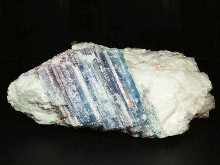 �p���C�o�g���}�������� �u���W���Y 1883g (82)