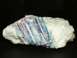 �p���C�o�g���}��������<br> �u���W���Y 1883g (82)