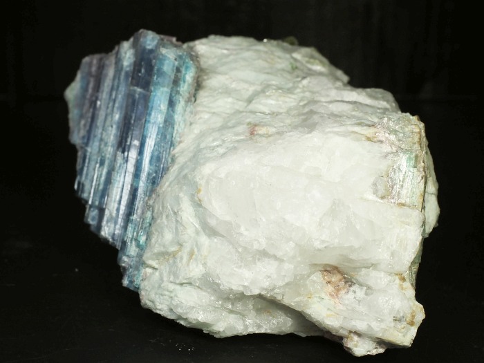 �p���C�o�g���}�������� �u���W���Y 1883g (82)