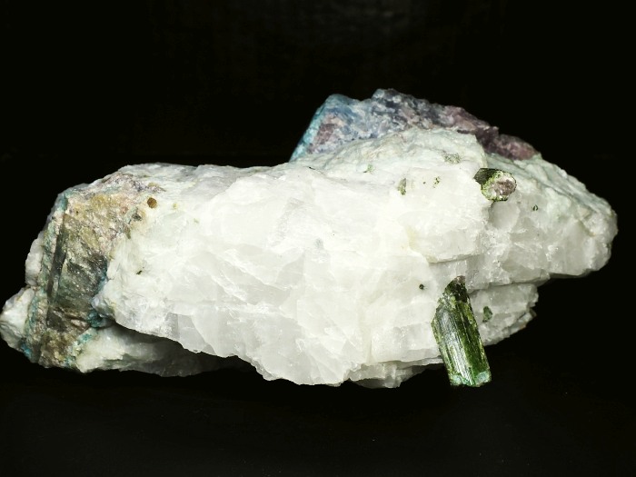 �p���C�o�g���}�������� �u���W���Y 1883g (82)