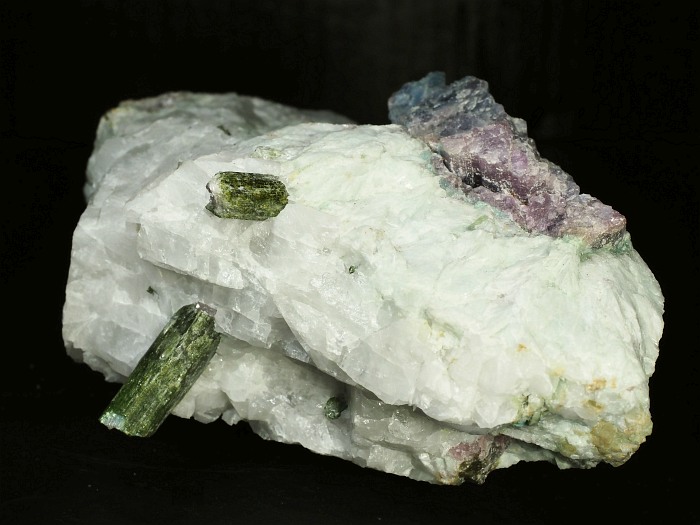 �p���C�o�g���}�������� �u���W���Y 1883g (82)