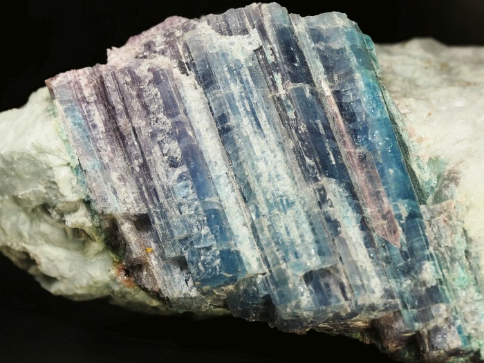 �p���C�o�g���}�������� �u���W���Y 1883g (82)