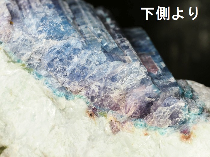 �p���C�o�g���}�������� �u���W���Y 1883g (82)