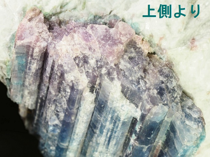 �p���C�o�g���}�������� �u���W���Y 1883g (82)