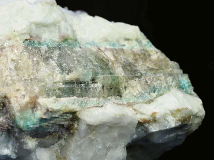 �p���C�o�g���}�������� �u���W���Y 1883g (82)