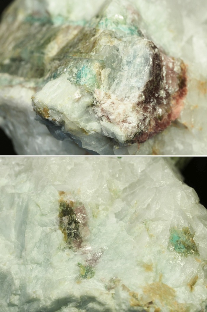 �p���C�o�g���}�������� �u���W���Y 1883g (82)