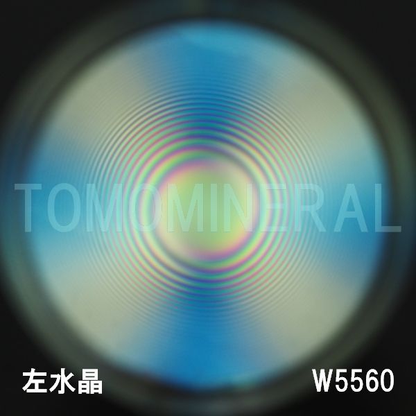 ʁE ōVRۋ3A ӕʏt(W5560) 36.6mm