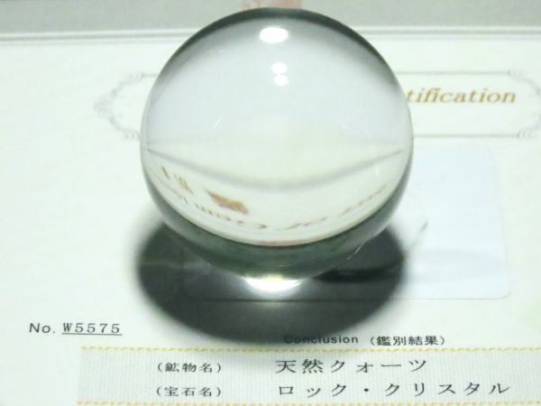 ʁEE ōVRۋ3A ӕʏt(W5575) 48.7mm