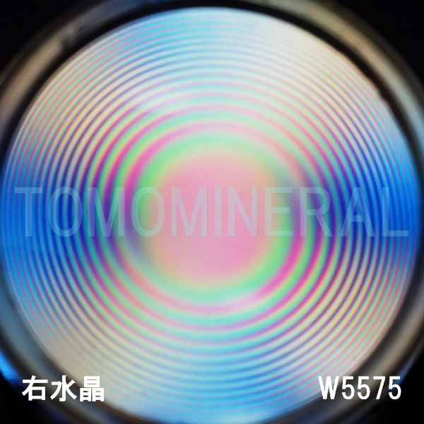 ʁEE ōVRۋ3A ӕʏt(W5575) 48.7mm