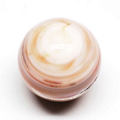 p[Xg[ۋ IW`xbgۋ20mm (11)