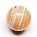 p[Xg[ۋ<br> IW`xbg<br>ۋ20mm (14)