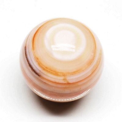 p[Xg[ۋ IW`xbgۋ20mm (14)
