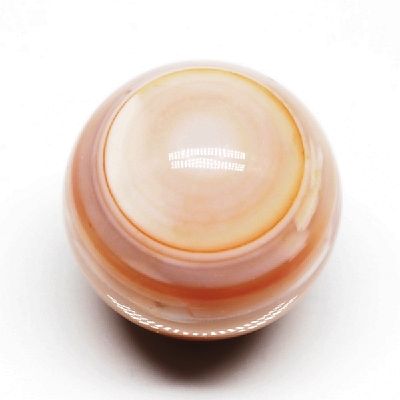 p[Xg[ۋ IW`xbgۋ20mm (15)