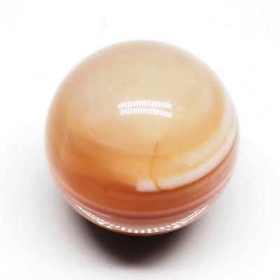 p[Xg[ۋ IW`xbgۋ20mm (16)