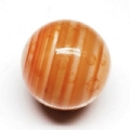 p[Xg[ۋ<br> IW`xbg<br>ۋ20mm (17)