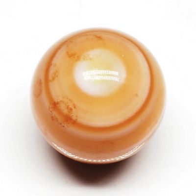 p[Xg[ۋ IW`xbgۋ20mm (17)