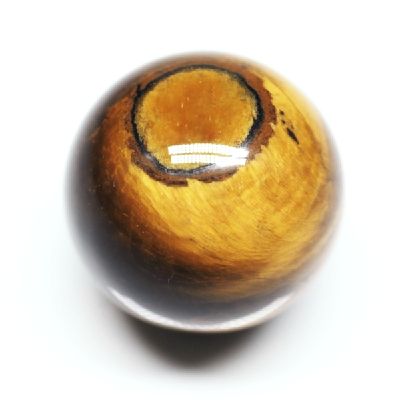p[Xg[ۋ ^CK[ACۋ20mm (20)