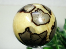 Zv^Aۋ<br> 84mm (2)