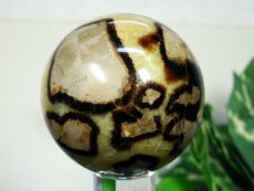 Zv^Aۋ<br> 84mm (5)