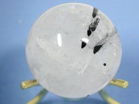 g}萅ۋ 31.3mm(2)
