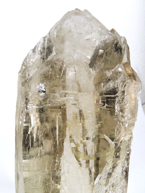 VgJeh  5kg (54)