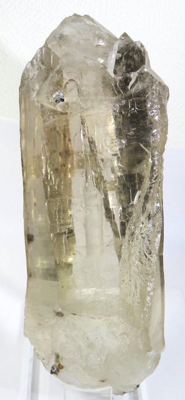 VgJeh  5kg (54)