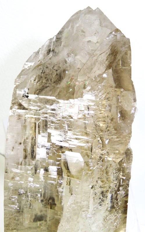 VgJeh  5kg (54)