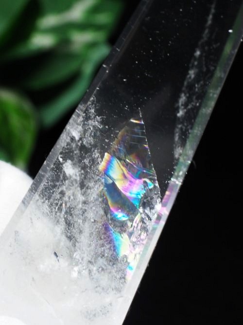 �I�x���X�N �ɉh�E�p���[�X�g�[���E�u�� ���C���{�[�����l�p�� 89mm(76)