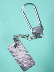 �v���[�g�p�݋���(1)