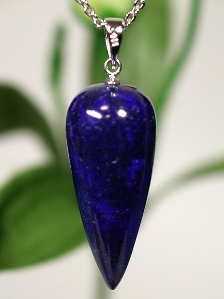 �y���f�������E���s�X�g�b�v(29)