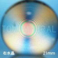 �G�A���[�X�p�C��������<br> �E���� �V�R������3A<br> 21.9mm (0211)