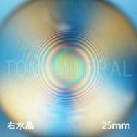 �G�A���[�X�p�C��������<br> �E���� �V�R������3A<br> 25mm (0251)