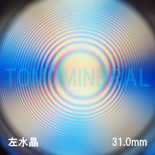 GA[XpC VR  31.0mm (1053)