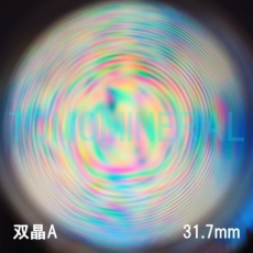 GA[XpC<br> VR o<br> 31.7mm (1101)