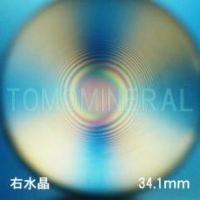 �G�A���[�X�p�C��������<br> �E���� �V�R������3A<br> 34.1mm (1201)