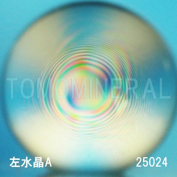 �G�A���[�X�p�C�������� ������ �V�R������3A 25mm (25024)