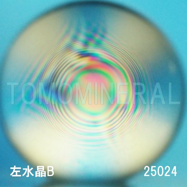 �G�A���[�X�p�C�������� ������ �V�R������3A 25mm (25024)