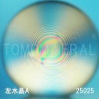 �G�A���[�X�p�C��������<br> ������ �V�R������3A<br> 25mm (25025)