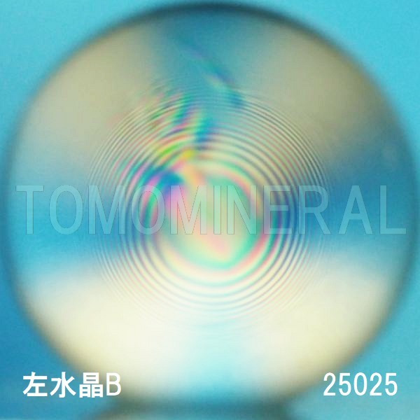 �G�A���[�X�p�C�������� ������ �V�R������3A 25mm (25025)