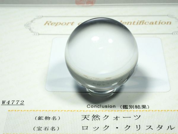 �G�A���[�X�p�C�������� �o�� �V�R������3A 33.75mm �ӕʏ��t(W4772)