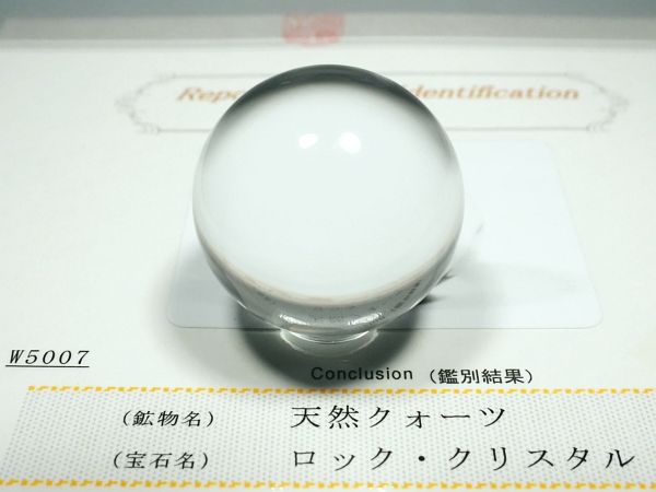 �G�A���[�X�p�C�������� �o�� �V�R������3A 34.0mm �ӕʏ��t(W5007)