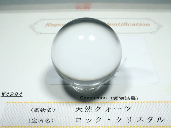 �G�A���[�X�p�C�������� �o�� �V�R������3A 34.1mm �ӕʏ��t(W4994)