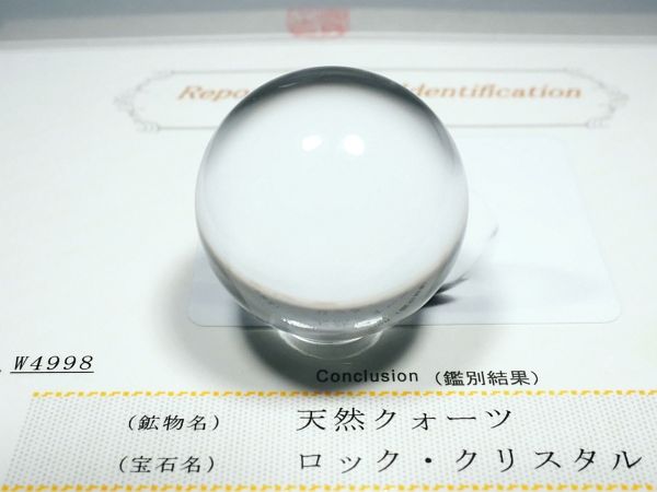 �G�A���[�X�p�C�������� �o�� �V�R������3A 34.1mm �ӕʏ��t(W4998)